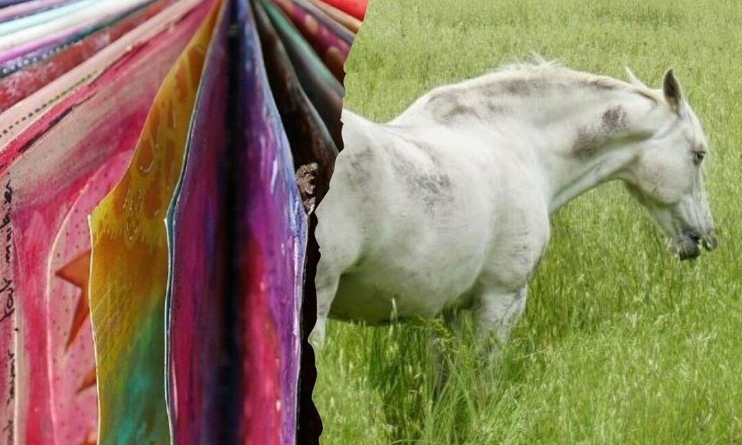 Accompagnement créatif individuel pour cheminer | Transition de vie