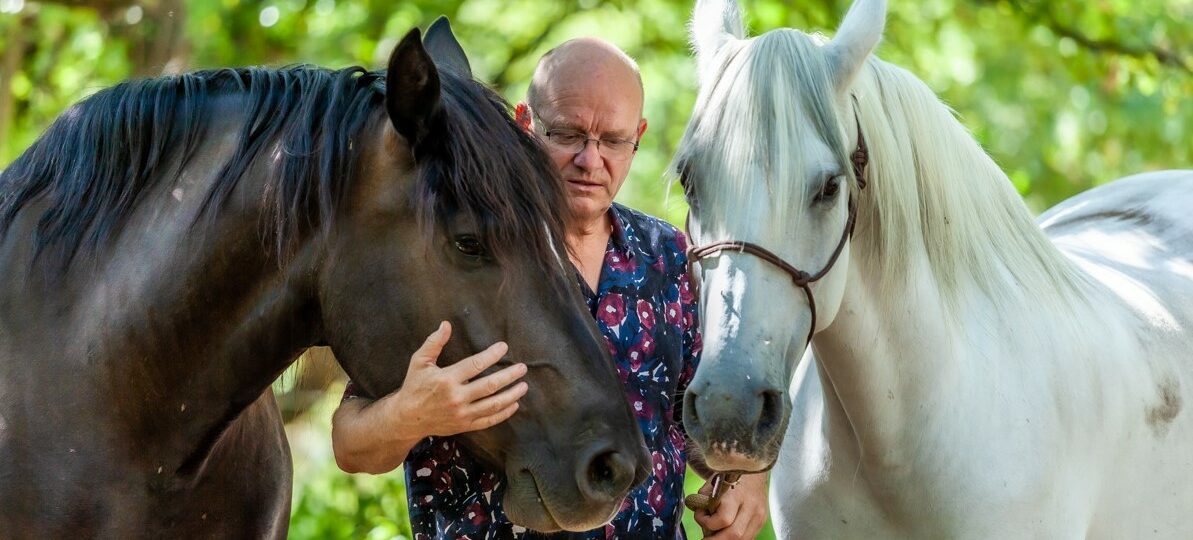 Xavier et ses chevaux Accompagnement créatif, exemples de créations |Le Chemin des Possibles